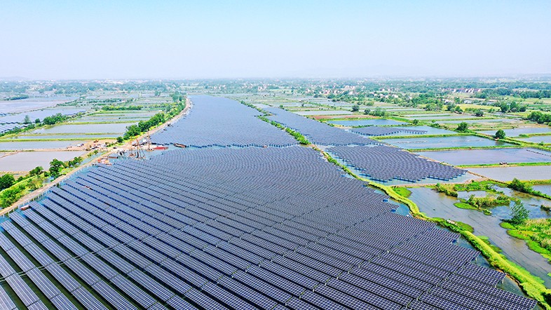 91香蕉视频污版下载_家用太阳能光伏发电_光伏发电代理加盟